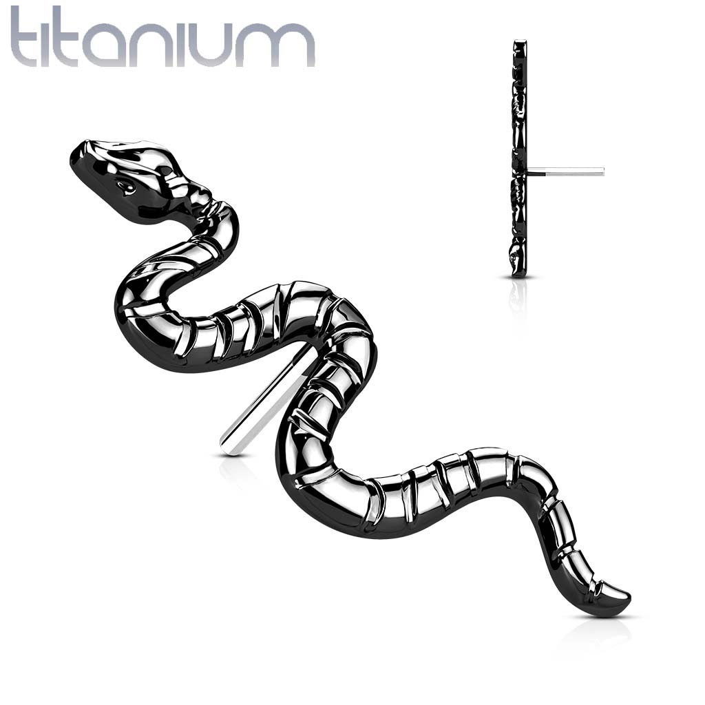 Top QDT49 (slang) (Push pin)